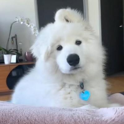 Raymond Gutierrez's avatar