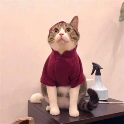 Dingdong Dantes's avatar